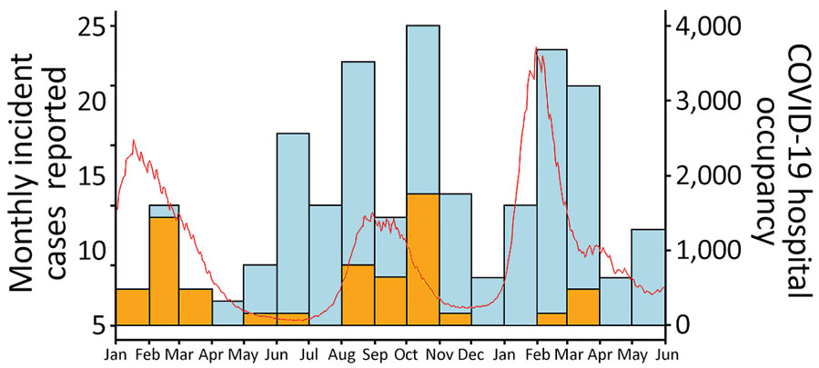 Association of Candida auris infection with COVID-19 hospitalization, Israel, January 2021–May 2022. Bars represent monthly C. auris incidence (no. cases). Cases with SARS-CoV-2 co-infection are shown in orange, non–co-infected cases are in blue. Red line shows level of hospital occupancy with COVID-19 patients. Scales for the y-axes differ substantially to underscore patterns but do not permit direct comparisons.