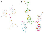 Minimum spanning trees of Candida auris strains for 2014–2020 (A) and 2014–2022 (B), Israel. Genetic relatedness of C. auris isolates was assessed using multilocus sequence typing. Strain cluster designation was determined using sequences published by Kwon et al. (shown in gray nodes) (17). Nodes are colored according to the respective medical center. Nodes marked with asterisks represent 2016 importation event from South Africa. C, clade; H, hospital; NH, nursing home.