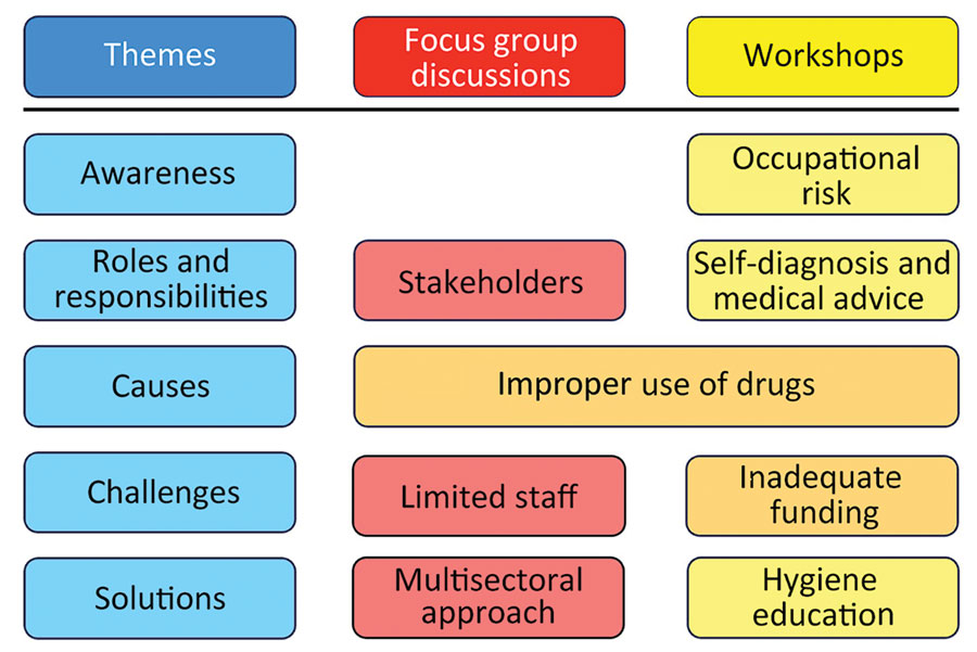 Themes identified from focus groups and in workshops in study of antimicrobial resistance in slaughterhouses, Kenya.  Focus group discussions included county veterinary officers, subcounty veterinary officers, and meat inspectors; workshops included slaughterhouse workers. Blue indicates overall themes; red indicates results from focus group participants; yellow indicates results from workshop participants; orange indicates answers shared by both groups of participants. 