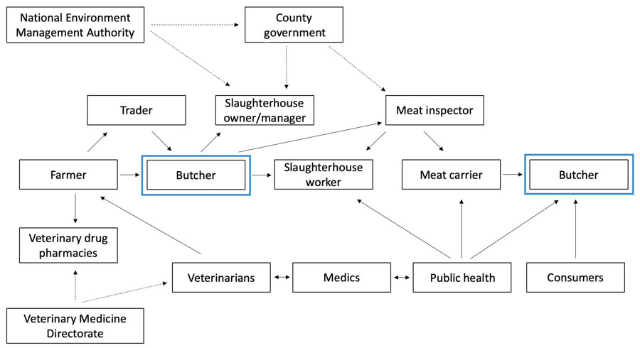 Relationship between stakeholders in study of antimicrobial resistance in slaughterhouses, Kenya. The chart shows relationships within the slaughterhouse context identified in focus group discussions conducted with county veterinary officers, subcounty veterinary officers, and meat inspectors, and in workshops conducted with slaughterhouse workers in western Kenya. Dotted arrows indicate stakeholders with authority to introduce or enforce regulations; solid arrows indicate relationships between stakeholders. Blue boxes indicate a stakeholder whose influence could be leveraged to positively influence others. Further information about stakeholders can be found in Appendix 1.