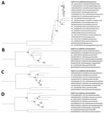 Phylogenies of PPV isolate F14.1158H from a skin lesion of an infected horse in Finland, 2013. A) Grouping of F14.1158H among all the genera of the subfamily Chordopoxvirinae in a phylogenetic tree based on amino acid sequences of the DNA polymerase (ORF025) gene. B–D) Grouping of F141158H among the genus Parapoxvirus in phylogenetic trees based on the nucleotide sequences of the early transcription factor (ORF083) (B), RNA polymerase (ORF101) (C), and topoisomerase 1 (ORF062) (D) genes. Bootstrap values >70% are shown next to the nodes. GenBank accession numbers are provided for reference sequences. MsEPV is used as an outgroup in panel A and SQPV and MOCV in panels B–D. Findings indicate that F14.1158H represents a novel PPV, designated EqPPV. CPXV, cowpox virus; CRV, crocodilepox virus; DPV, deerpox virus; EMCLV, equine molluscum contagiosum-like virus; EqPPV, equine PPV; FWPV, fowlpox virus; MOCV, molluscum contagiosum virus; MPXV, monkeypox virus; MsEPV, melanoplus sanguinipes entomopoxvirus; MYXV, myxoma virus; ORF, open reading frame; PPV, parapoxvirus; SPPV, sheeppox virus; SQPV, squirrelpox virus; SWPV, swinepox virus; VACV, vaccinia virus; YMTV, yaba monkey tumor virus.