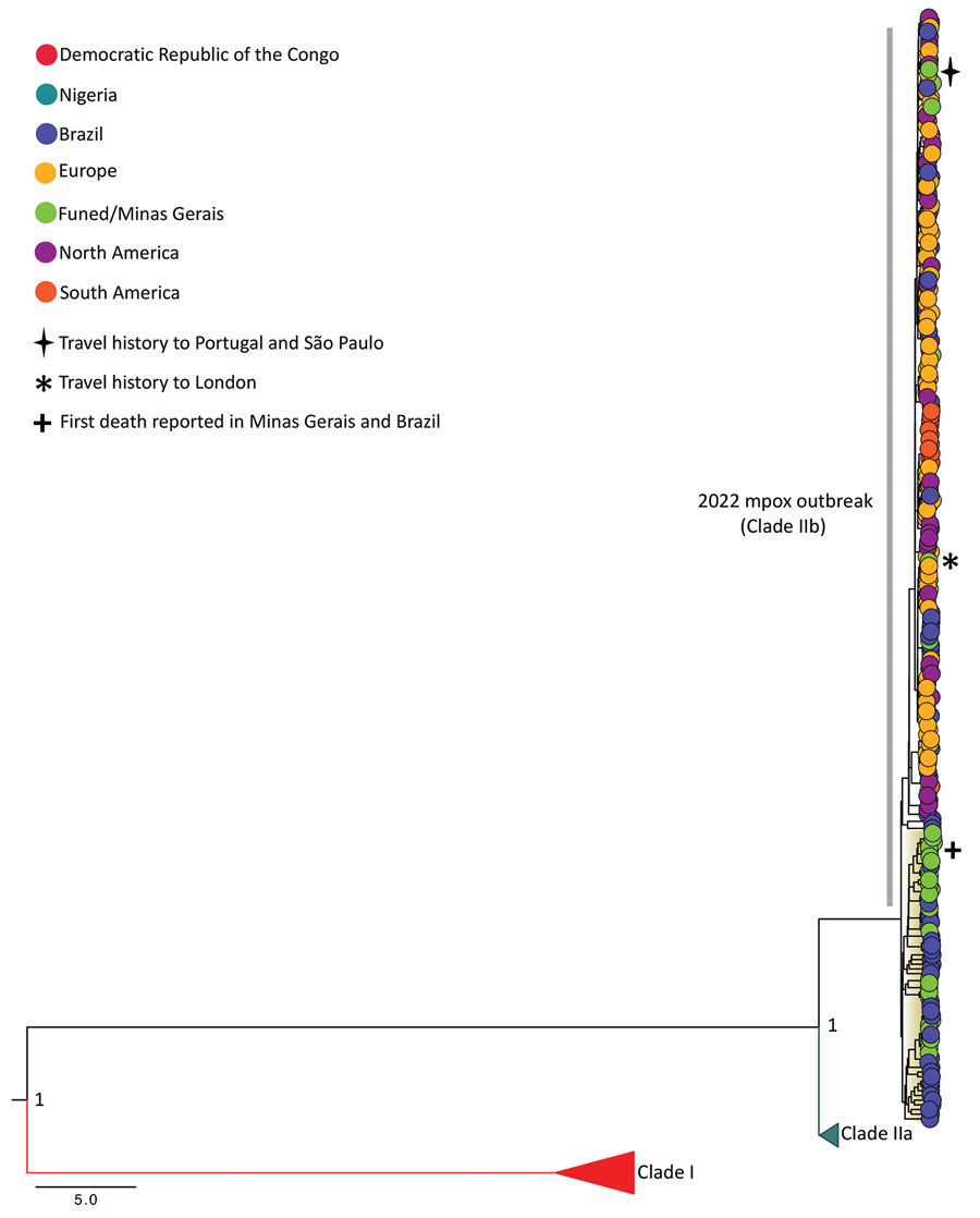 Bayesian phylogenetic tree of 34 genome sequences generated during genomic surveillance of monkeypox virus, Minas Gerais, Brazil, 2022. The tree also includes 218 reference strains available at GISAID (https://www.gisaid.org), accessed October 3, 2022. Colors represent different sampling locations. Posterior probability support is shown at key nodes for clade I, IIa, and IIb. Scale bar indicates nucleotide substitutions per site.