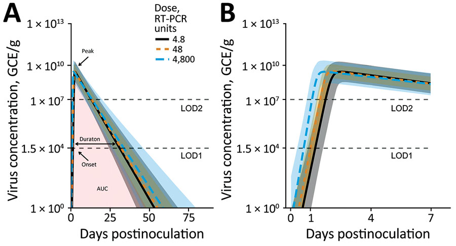 Fitted virus concentration (GEC/g) in feces of patients challenged with norovirus in study of the effect of norovirus inoculum dose on virus kinetics, shedding, and symptoms. A) Fitted curves showing the full infection time-course. Onset is time at which virus load rose to the LOD1 level. Duration is amount of time where virus load was above the LOD1 level. Peak is time to virus peak shedding. B) Zoomed in plot of the first 7 days to better show the initial increase and peak. Curves and shaded regions indicate means and credible intervals of the fitted time series Bayesian model. LOD1 and LOD2 lines indicate the 2 different limits of detection. Missing values attributable to limits of detection were treated as censors (Appendix). AUC, area under virus concentration curve; GEC, genomic equivalent copies; LOD, limit of detection; RT-PCR, reverse transcription PCR.