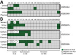 Zika virus rRT-PCR results from plasma, urine, and semen (when applicable) specimens supporting reinfection among female (A) and male (B) study participants in northern Brazil. Each square represents an analyzed specimen according to the schedule from study visits (Table 2). ID, participant identification; r-RT-PCR, real-time reverse transcription PCR; V, visit number.