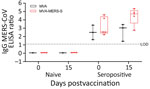 Antigen-specific humoral immunity after MVA-MERS-S vaccination in dromedary camels, Dubai, United Arab Emirates. MERS-CoV seropositive and naive dromedary camels were immunized once with 2.5 x 108 plaque-forming units of MVA-MERS-S or MVA as a vector control. Serum samples were collected on day 0 and on day 15 after single-shot vaccination. Black indicates serum samples analyzed for MERS-CoV S1 IgG by ELISA of MVA–vaccinated animals and red indicates for MVA-MERS-S–vaccinated animals. Box plots show individual values (dots), median values (horizontal lines within boxes), first and third quartiles (box tops and bottoms), and minimums and maximums of value distribution (error bars). LOD, limit of detection; MERS-CoV, Middle East respiratory syndrome coronavirus; MVA, modified vaccinia virus Ankara; MVA-MERS-S, modified vaccinia virus Ankara expressing full-length MERS-CoV spike protein as antigen.