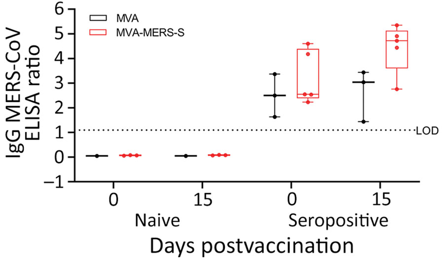 Antigen-specific humoral immunity after MVA-MERS-S vaccination in dromedary camels, Dubai, United Arab Emirates. MERS-CoV seropositive and naive dromedary camels were immunized once with 2.5 x 108 plaque-forming units of MVA-MERS-S or MVA as a vector control. Serum samples were collected on day 0 and on day 15 after single-shot vaccination. Black indicates serum samples analyzed for MERS-CoV S1 IgG by ELISA of MVA–vaccinated animals and red indicates for MVA-MERS-S–vaccinated animals. Box plots show individual values (dots), median values (horizontal lines within boxes), first and third quartiles (box tops and bottoms), and minimums and maximums of value distribution (error bars). LOD, limit of detection; MERS-CoV, Middle East respiratory syndrome coronavirus; MVA, modified vaccinia virus Ankara; MVA-MERS-S, modified vaccinia virus Ankara expressing full-length MERS-CoV spike protein as antigen.