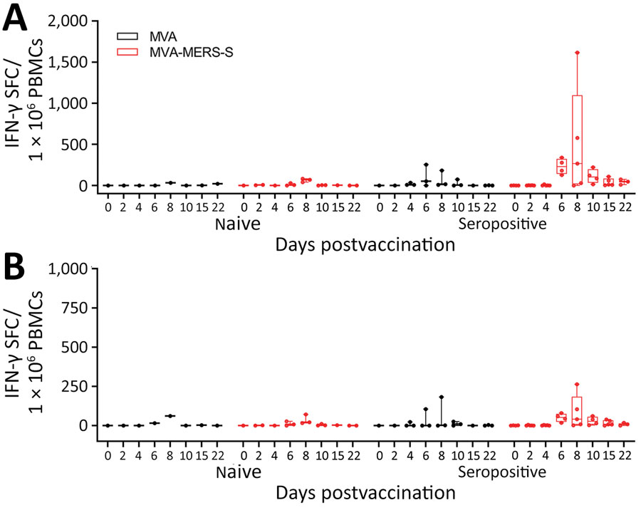 Antigen-specific cellular immunity after MVA-MERS-S vaccination in dromedary camels, Dubai, United Arab Emirates. PBMCs were isolated from blood samples on different days post‒single-shot vaccination and IFN-γ SFCs were measured by ELISpot assay after restimulation of PBMCs from different time points with overlapping peptides comprising the MERS-CoV S1 (A) and MERS-CoV-S2 (B) protein subunit. Box plots show individual values (dots), median values (horizontal lines within boxes), first and third quartiles (box tops and bottoms), and minimums and maximums of value distribution (error bars). IFN-γ, interferon-γ; MERS-CoV, Middle East respiratory syndrome coronavirus; MVA, modified vaccinia virus Ankara; MVA-MERS-S, modified vaccinia virus Ankara expressing full-length MERS-CoV spike protein as antigen; PBMCs, peripheral blood mononuclear cells; SFCs, spot-forming T cells.