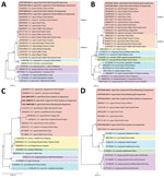 Phylogenetic analysis of Anaplasma capra based on nucleotide sequences of 4 genes in study of emerging intraerythrocytic A. capra and high prevalence in goats, China. A) Phylogenetic tree based on 536 bp nucleotide sequence of gltA. B) Phylogenetic tree based on 620 bp nucleotide sequence of groEL. C) Phylogenetic tree based on 860 bp nucleotide sequence of 16S rRNA. D) Phylogenetic tree based on 642 bp nucleotide sequence of msp4. We performed bootstrap analysis of 1,000 replicates to assess the reliability of the reconstructed phylogenies. GenBank accession numbers are provided. Scale bars show estimated evolutionary distance.
