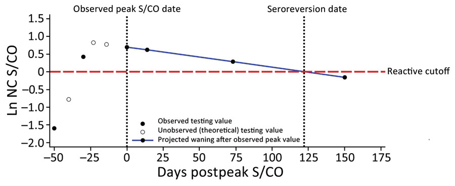 Potential nucleocapsid antibody test signal over time, showing likely sequence of S/CO values and seroconversion and seroreversion for nucleocapsid antibodies, in study of trajectory and demographic correlates of antibodies to SARS-CoV-2 nucleocapsid in recently infected blood donors, United States, June 2020‒June 2021. Each circle shows a potential value; solid circles indicate observed testing values and open circles theoretical unobserved points. The observed peak value is likely to be less that the true peak value and could occur before the true peak, in which case the slope could be affected. Blue line indicates the projected waning after the observed peak value. Ln, natural log; NC, nucleocapsid; S/CO, signal-to-cutoff value.