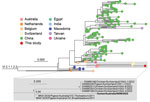 Phylogeny of avian paramyxovirus type 1 strain from an immunocompromised child in Australia (bold). Tree was prepared from MAFFT-aligned fusion gene sequences of genotype VI sublineage 2.1.1.2.2 strains (classified as pigeon avian paramyxovirus 1) using PhyML with the Hasegawa-Kishino-Yano + gamma DNA substitution model and rooted with a genotype VI sublineage 2.1.1.2.1 outgroup (HM063425/Pigeon/CHN/P4). Red dot indicates virus from this case; GenBank accession numbers are provided for reference sequences. Gray box indicates the branch containing the virus we identified, expanded to show detail. Colored circles at tips indicate country of sampling. The virus from our study appears to be related to viruses circulating in Australia since at least 2011. Node support values show Shimodaira-Hasegawa—like approximate likelihood ratio test statistics; branch lengths are proportional to the scale of the number of substitutions per site. Scale bars indicate number of substitutions per site. All strains used in this analysis are listed in the Appendix.