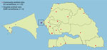 Geographic distribution of community and hospital sentinel sites participating in surveillance for shifting patterns of influenza circulation during the COVID-19 pandemic, Senegal. Sites represent the network of sentinelle syndromique du Sénégal (sentinel syndromic surveillance of Senegal), also known as the 4S Network. Enlarged map at left shows detailed view of the Dakar capital region and 4S Network hospitals located in the region. ILI, influenza-like illness; SARI, severe acute respiratory illness.