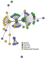 Minimum spanning tree demonstrating the genetic relatedness of human and animal isolates based on core genome multilocus sequence typing from samples obtained in the United States, 2021–2022. All sequences have an allele difference range of 0–12 alleles. Line length is proportionally scaled; the longer the line, the greater the allele difference is between the sequences. Isolates with no allelic variation are represented as slices of the same circle.