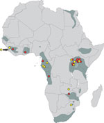 Distribution of Rousettus aegyptiacus bats in Africa (dark gray shading), showing locations of known Marburg virus disease spillover events into humans (red dots) and Egyptian rousette bats (R. aegyptiacus) that previously tested positive for Marburg or Ravn viruses (yellow dots). The bat distribution was adapted from the International Union for Conservation of Nature and Natural Resources Red List of Threatened and Endangered Species distribution maps (https://www.iucnredlist.org), except for the shaded area in Sierra Leone indicated by the yellow dot and black arrow, which represents a range extension for Egyptian rousette bats not shown on the Red List website (7).