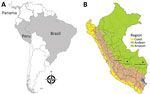 Geographic distribution of Candiru complex virus in Central and South America in study of novel ECHV variant isolated from patient with febrile illness, Chanchamayo, Peru. A) Countries where viruses were identified (shaded in gray). B) Geographic distribution of the Candiru complex viruses in Peru identified from patients with acute febrile illness. Red dot indicates location of the novel ECHV variant: ECHV variant (Chanchamayo–Junín), ECHV (Echarate-Cuzco, 1998); Maldonado virus (Puerto Maldonado–Madre de Dios, 2004); Candiru virus (Puerto Maldonado–Madre de Dios, 2010). ECHV, Echarate virus.