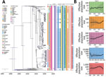Phylogenetic analysis of global blaOXA-232–carrying carbapenem-resistant Klebsiella pneumoniae sequence type (ST) 15 isolates. A) Time-calibrated maximum clade credibility Bayesian phylogeny based on 330 blaOXA-232–carrying ST15 recombination-filtered core genomes and distribution of antimicrobial resistance genes and virulence genes in the isolates. The cells with colors indicate presence of the gene; blank cells indicate absence. Different colored circles indicate the geographic location and separation time of strains. Blue bars along branches indicate 95% highest posterior probabilities. B) Effective population size of ST15 lineage strains based on the population structure. Shaded areas indicate 95% highest posterior probabilities. Scale bar indicates number of base substitutions per site.