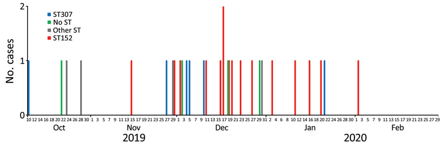 Epidemic curve of 31 cases of carbapenem-resistant Klebsiella pneumoniae bloodstream infection by date of specimen collection and ST of isolate during outbreak period, South Africa, October 2019–February 2020. ST, sequence type.