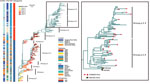 Phylogenetic analysis of evolution and antigenic differentiation of avian influenza A(H7N9) virus, China. Colors in columns at left show locations, timeframes, hosts, and pathogenicity of virus strains. The maximum-likelihood phylogenetic tree of the hemagglutinin gene depicts viruses corresponding to epidemic waves 1–5. Tree on right shows detail of Group.y.2.3 (red rectangles) and Group.y.2.4.4 (red circles) in comparison with vaccine strains. Scale bar indicates nucleotide substitutions per site. LPAI, low-pathogenicity avian influenza; HPAI, highly pathogenic avian influenza; Other-N, sites in the northern region; Other-S, sites in the southern region.