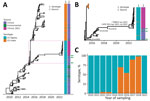 Inferred Bayesian phylogeny in a study of ancestral origin and dissemination dynamic of reemerging toxigenic Vibrio cholerae, Haiti. Phylogeny was inferred from 371 toxigenic V. cholerae O1 full genome clinical and environmental strains collected in Haiti during 2010–2022. A, B) Time-scaled phylogenies of V. cholerae serotypes inferred by enforcing a relaxed clock with Bayesian skyline demographic prior in BEAST version 1.10.4 (https://beast.community): A) Phylogeny of all isolates collected during 2010–2022. Dotted box denotes area detailed area shown in panel B. B) Detail of Ogawa clade from which the 2022 V. cholerae epidemic strains were derived. Gray circles indicate internal nodes supported by posterior probability >0.9. Branch lengths are scaled in time according to the x-axis. Time to MRCA of the 2022 Haiti isolates is shown at the node. Heatmaps denote clinical or environmental source and O1 serotype Ogawa or Inaba of the strains. Green arrows indicate the position of environmental strains basal to major clades. The collapsed orange clade refers to the monophyletic Inaba clade. Numbered green dots represent environmental V. cholerae O1 Ogawa isolates collected in Haiti; 2 were isolated from Jacmel Estuary, EnvJ515 in 2018 and Env4303 in 2015; Env5156 was isolated from a river in Leogane in 2016. C) Percentage of Ogawa and Inaba serotype isolates from samples collected in Haiti per year. HPD, high posterior density; MRCA, most recent common ancestor.