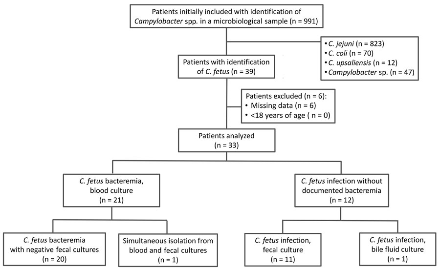 Flowchart of patient enrollment in study of Campylobacter fetus invasive infections and risks for death, Nord Franche-Comté Hospital, France, 2000–2021.