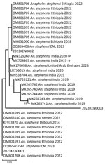 Phylogeny of internal transcribed spacer 2 sequences of An. stephensi isolates from Kenya (OQ275146.1, OQ275144.1, OQ275145.1, OQ878216, OQ87821, and OQ878218) in comparison to An. stephensi isolates from other parts of the world. GenBank accession numbers are provided for reference sequences; accession numbers for Kenya sequences are provided in Table 3. Scale bar indicates 20% nucleotide sequence divergence. Values on the branches represent the percentage of 1,000 bootstrap replicates; bootstrap values >70% are shown in the tree.