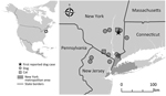 Locations of thelaziosis cases caused by Thelazia callipaeda eyeworm in dogs (circles) and cats (squares), New York, New Jersey, and Connecticut, USA. Star indicates the dog case reported in New York in 2020. Inset map indicates the area where T. callipaeda infections were reported (box). The dog case reported from Nevada was not included in the map because the travel history for that animal was unknown. 