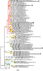 Maximum-likelihood phylogeny of 90 Yersinia pestis isolates obtained in rural endemic foci from Madagascar during August–November 2017 (boldface) and reference sequences. Tree was created using 483 core-genome SNPs discovered from WGSs and rooted using North American strain CO92. Stars indicate 5 isolates obtained within the urban areas of Antananarivo or Mahajanga. Numbers in yellow circles and squares indicate 20 emergence events from environmental reservoirs (Table 1); yellow squares and rectangles along branches indicate phylogenetic position of SNPs that were queried in Y. pestis sequence data from enriched sputum samples (Appendix 1, https://wwwnc.cdc.gov/EID/article/30/2/23-0759-App1.pdf). Labels for each isolate indicate identification number, year of isolation, host-disease form, and district-commune of isolation; letters on branches and colors of branches indicate known lineages (10). Some known lineages without isolates during August–November 2017 are unlabeled or collapsed. BP, bubonic plague; H, human; F, flea; PP, pneumonic plague; PPP, primary pneumonic plague; R, rat; SNP, single-nucleotide polymorphism; WGS, whole-genome sequencing. An expanded figure is available online (https://wwwnc.cdc.gov/EID/article/30/2/23-0759-F2.pdf).