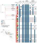 Single linkage dendrogram of 92 isolates generated for genome-based characterization of Listeria monocytogenes, Costa Rica. Dendrogram is based on core-genome multilocus sequence typing; (cgMLST) allelic profiles (1,748-locus scheme). Branches are colored according to lineages: L1, red; L2, blue. Branches are labeled according to lineages, sublineages, and clonal complexes. Information on isolates’ serogroup, and resistance profiles are provided in the columns. Colors in location column correspond to dots on map. Gray bars indicate clusters of isolates with <7 allelic differences out of 1,748 cgMLST loci. Presence of selected virulence and resistance genetic traits in each isolate is represented by dark blue boxes and empty boxes denote genes with premature stop codons. More details are provided in Appendix Figure 1. CC, clonal complex; L, lineage; LIPI, listeria pathogenicity island; SL, sublineage.