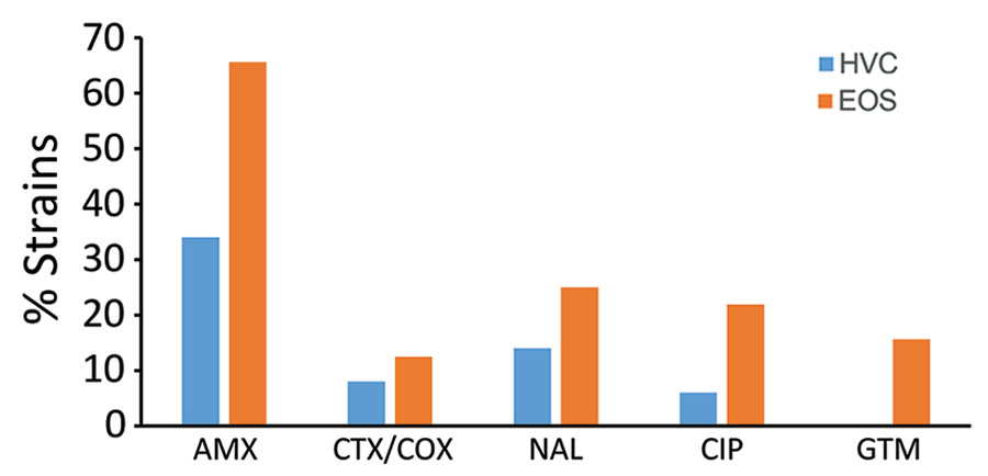 Antibiotic resistance rates among EOS neonate and HVC Escherichia coli strains, France. AMX, amoxicillin; CIP, ciprofloxacin; CTX/COX, cefotaxime/ceftriaxone; EOS, early-onset neonatal sepsis; GTM, gentamicin; HVC, healthy vaginal carriage; NAL, nalidixic acid. 