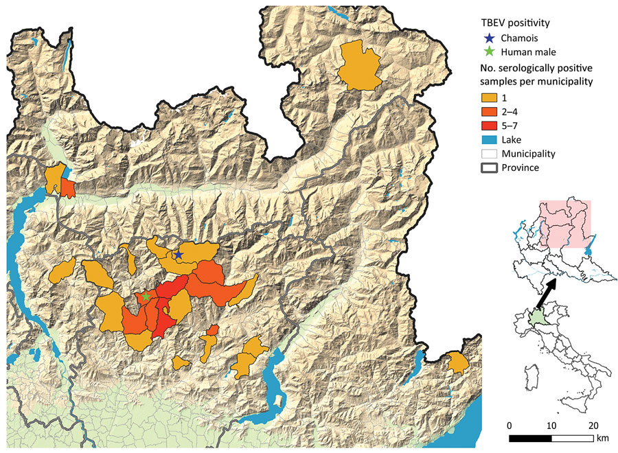 Locations of TBEV cases in a wild chamois and a human and municipalities with samples showing serologically positive results for TBEV, Lombardy region, Italy. TBEV, tick-borne encephalitis virus.