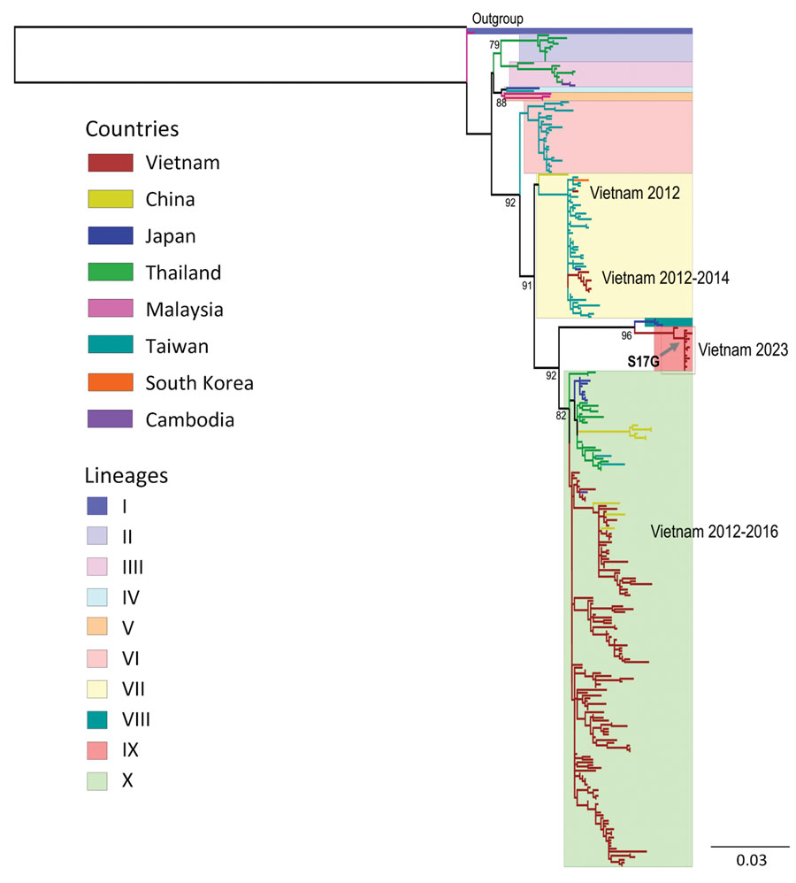 Phylogenetic analysis of viral protein 1 (VP1) coding sequences in study of emerging enterovirus A71 subgenogroup B5 causing severe hand, foot, and mouth disease, Vietnam, 2023. Tree was constructed for VP1 gene sequences by using the maximum-likelihood method to compare genetic relatedness among the B5 sequences from this study and global sequences obtained from GenBank. Line colors indicate the country of origin for each sequence. Box colors indicate the enterovirus lineage. Arrow indicates the emerging B5 lineage from Vietnam carrying an S17G codon substitution within the N-terminus of VP1. Similar phylogenetic tree structure was obtained when the analysis was performed by using complete genome coding sequences. Interlineage and intralineage nucleotide sequence similarities among the lineages were calculated (Appendix Table 3). Scale bar indicates nucleotide substitutions per site.