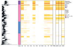 Phylogeny and heatmap of antimicrobial resistance and pESI in study of One Health perspective of emerging multidrug-resistant pathogen Salmonella enterica serovar Infantis. Heatmap shows the number of isolates in each 25 single-nucleotide polymorphism representative cluster (n = 1,288) of the eBG31 maximum-likelihood phylogeny with genes conferring resistance to antimicrobial drugs. Fastbaps clade and the number of isolates with MDR, ESBLs, mutations in the QRDR conferring resistance to fluoroquinolones and pESI presence are also shown. AG, aminoglycosides; BL, β-lactams; CHL, chloramphenicol; COL, colistin; ESBLs, extended β-lactamases; FQ, fluoroquinolones; FOS, fosfomycin; LIN, lincosamides; MAC, macrolides; MDR, multidrug-resistant; SUL, sulphonamides; TET, tetracyclines; TMP, trimethoprim. 