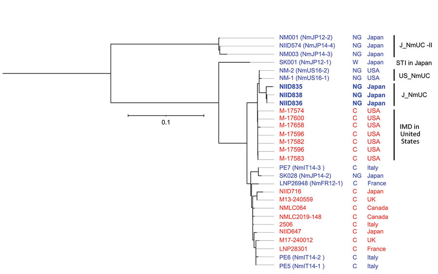 Phylogenetic analysis of Neisseria meningitidis from different countries in study of detection of novel US N. meningitidis urethritis clade subtypes in Japan. Strains isolated from patients with IMD (red font) or STI (blue font), serogroup (NG or C), and country of origin are indicated. US_NmUC, J_NmUC, and J_NmUC-II N. meningitidis isolates have detailed profiles (Appendix 1 Table). We included 1 sequence type 11 N. meningitidis strain isolated in Japan from a patient with an STI (SK028) and 4 serogroup C meningococci (MenC) that were phylogenetically close to SK028 (PE5, PE6, PE7, and LNP26948) (29). Moreover, we included 7 MenC phylogenetically close to US_NmUC (IMD strains in the United States) (31), 2 sequence type 11 MenC isolated from IMD patients during 2003–2020 in Japan (NIID647 and NIID716) (28), and 6 MenC phylogenetically close to the 2 MenC from Japan (28). Scale bar indicates nucleotide substitutions per site. C, serogroup C; IMD, invasive meningococcal disease; NG, nongroupable; STI, sexually transmitted infection.