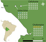 Alpaca and llama sample collection sites in study of hepatitis A virus in alpacas and llamas, Bolivia, 2019. The number of animals sampled per site is shown, 70 animals in total. Colored icons indicate alpaca HAV-positive animals by quantitative reverse transcription PCR. Inset shows locations of Bolivia and study site in South America.
