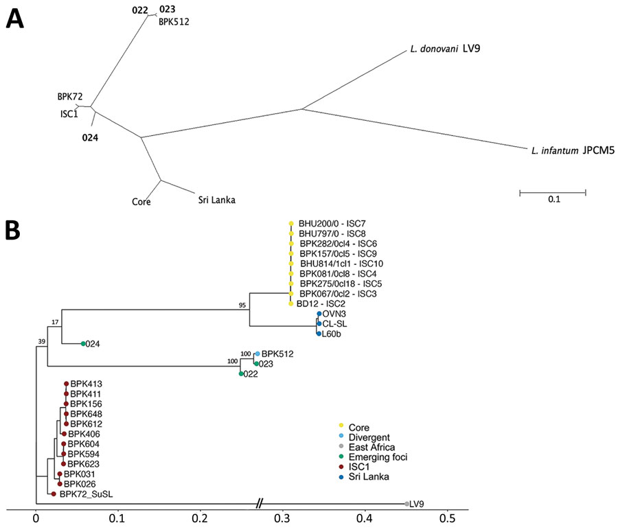 Phylogenetic analyses of Leishmania donovani from the ISC, including Nepal, and reference sequences. Trees were based on genomewide single-nucleotide polymorphisms using RAxML (8). A) Unrooted phylogenetic network of the L. donovani complex, showing samples representing the emerging foci (bold text). B) Rooted phylogenetic tree of reference strains of L. donovani from the ISC, showing the branching of 3 samples (022, 023, and 024) originating from emerging foci. Important bootstrap values are indicated on the branches. The West-African LV9 strain is included as an outgroup. BPK72_SuSL represents an ISC1 sample analyzed using SureSelect sequencing (Agilent Technologies; https://www.agilent.com), confirming that the branching of the emerging foci is not a result of a technical artifact. Scale bars indicate number of single-nucleotide polymorphism differences. ISC, Indian subcontinent.
