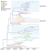 Maximum clade credibility tree constructed using the hemagglutinin gene of HPAI A(H5N1) clade 2.3.4.4b virus, with host types as a discrete trait, South Korea, June 2022–January 2023. Each branch is colored according to the host type specified in the legend. Each genotype was assigned an alphabet letter based on the Kor22–23 nomenclature, which indicated the region of origin (Kor) and year of origin (2022–2023). Orange shade represents Kor22–23B genotype viruses. Violet shades represent Kor22–23C genotype viruses. Blue shades represent Kor22–23D genotype viruses. The x-axis is in decimal year format.