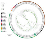 Global Mycobacterium phylogeny including newly identified M. africanum L10 (proposed) strains (green shading). We selected M. africanum samples for harboring RD9 deletion, having documented country of origin (for the purpose of additional analyses; Appendix 2, Figure 2), and refined our selection to retain a sole representative of each sublineage for each country. This sample represents representing the genetic and geographic diversity of M. africanum in Africa. Specifically for this phylogenetic reconstruction, single-nucleotide polymorphisms were identified in comparison with an M. tuberculosis ancestor (11) and reincorporated into the whole genome to avoid biases in the molecular model or need for Lewis correction. Phylogeny was rooted with M. canettii, subsequently removed for better visualization. Bootstrap support was computed using 100 replicates and shown when ≥0.6. Circles confirm the large support of almost all branches, especially of L10 and its sister branches. L10 branching point lies between L9 and the La_A1 lineage grouping chimpanzee and Dassie bacillus. Scale bar indicates nucleotide substitutions per site. 