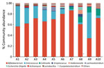 Relative gut microbiota abundance at the genus level before and after fecal microbiota transplantation (FMT) in 4-month-old boy with infant botulism, Beijing, China. The collected fecal samples (A1–A10) included 5 samples before FMT (A1–A5), 3 samples during FMT (A6–A8), and 2 samples after FMT (A9–A10), as shown in the Table. 