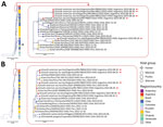 Maximum-likelihood trees for hemagglutinin (A) and polymerase basic 2 (B) gene segments evaluated in study of highly pathogenic avian influenza A(H5N1) in Argentina compared with reference strains from other countries in South America. Tree areas have been enlarged at right to show detail. Red arrows indicate virus from marine mammals in Argentina; red asterisk indicates virus from a tern in Argentina. Black arrowhead along full tree in panel A indicates the hemagglutinin sequence from the first detection of HPAI H5N1 in a wild goose in Argentina. Node shape represents host group, and node color (and bars adjacent to trees) represents the region/country. Branch lengths are drawn proportionally to the extent of changes. Values adjacent to nodes represent bootstrap support >40. Scale bars indicate nucleotide substitutions per site. 