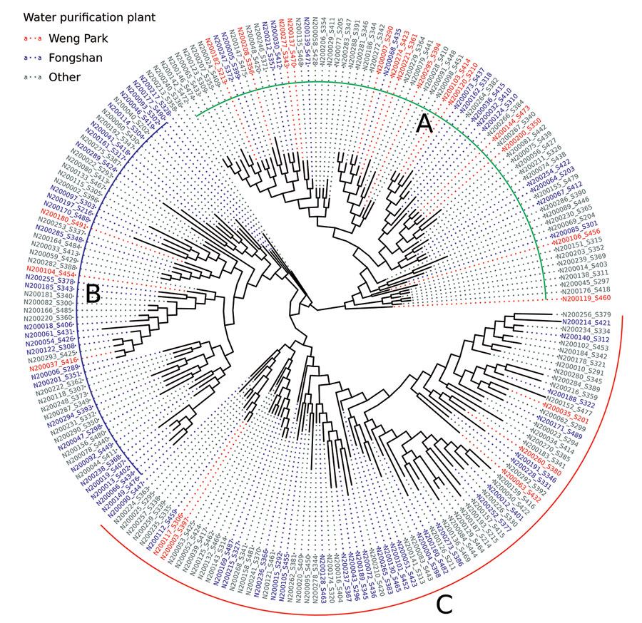 Maximum-likelihood phylogram of clinical Mycobacterium kansasii isolates from patients with M. kansasii lung disease in industrialized city, Taiwan. Phylogeny with major clades are labeled as A, B, and C; colored text indicates source of water for patient households. 