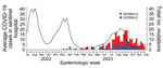 Sporadic occurrence of ensitrelvir-resistant SARS-CoV-2 mutants during December 2022–December 2023 in Japan. Solid line indicates the average number of COVID-19 cases. Weekly numbers of SARS-CoV-2 sequences harboring g.10199A>U and g.10199A>C mutations within nonstructural protein 5 were extracted from the GISAID EpiCoV database (https://www.gisaid.org). Number of mutations were aligned on the same time axis as the weekly average number of COVID-19 patients identified at ≈5,000 sentinel hospitals organized by the Japan Ministry of Health, Labor and Welfare. Scales for the y-axes differ substantially to underscore patterns but do not permit direct comparisons.