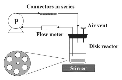 Biofilm disk reactor system.