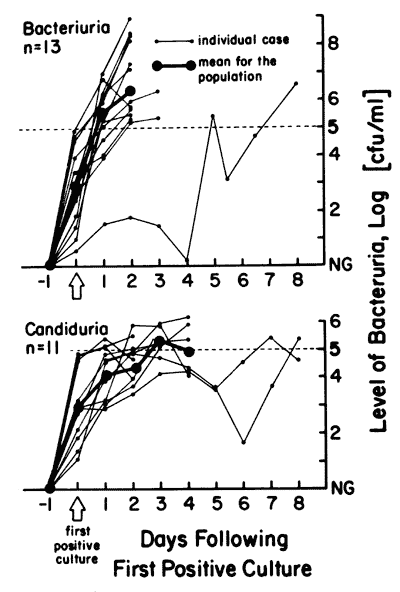 Rate of progression of bacteriuria and candiduria in 25 catheterized patients once any microorganisms were detectable in urine culture. Once organisms appeared in urine, low-level bacteriuria progressed very rapidly to levels &gt;105 organisms per milliliter in 12 of the 14 cases within 2 days. Candiduria progressed less rapidly: in 9 of 11 cases, a concentration of &gt;105 organisms per milliter was reached within 3 days (7).