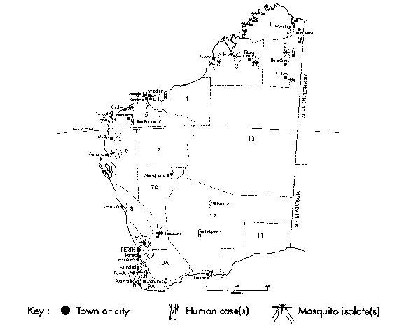 Meteorological regions and towns in Western Australia where human cases of Barmah Forest virus disease were reported and Barmah Forest virus was isolated from mosquitoes, 1989-1994. Meteorologic regions: 1. Norht Kimberley; 2. East Kimberley; 3. West Kimberley; 4. Pilbara (De Grey); 5. Pilbara (Fortescue); 6. West Gascoyne; 7. East Gascoyne; 7A. Murchison; 8. North Coastal; 9. Central Costal; 9A. South Coastal; 10. North Central; 10A. South Central; 11. Eucla; 12. Southeast (Goldfields); and 13.