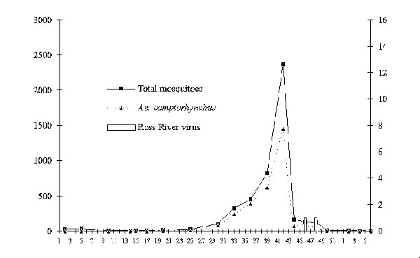 Mean number of adult mosquitoes (total population and dominant species) and isolations of Ross River virus from mosquitoes at Capel–Busselton region, wetland site, January 1994 to April 1995.