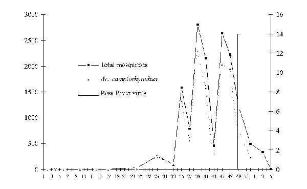 Mean number of adult mosquitoes (total population and dominant species) and isolations of Ross River virus from mosquitoes at Capel–Busselton region, wetland site, January 1995 to January 1996.