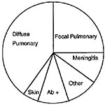 Thumbnail of The most common clinical presentations of coccidioidomycosis in AIDS patients. The group "Other" includes dissemination to the lymph nodes, liver, spleen, and bone marrow. The antibody only group includes patients with serologic evidence of infection but no evident focus of infection. Since these were passively collected cases, a protocol to search for inapparent sites of infection had not been agreed upon (37).