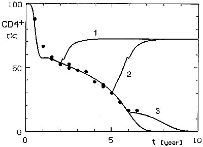 Simulated effect of permanent AZT treatment started 2m 5m or 6 years after the acquisition of HIV infection—curves 1, 2, and 3, respectively.