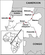 Thumbnail of Geographic distribution of the three Ebola virus hemorrhagic fever epidemics and site of the infected chimpanzee in Gabon.