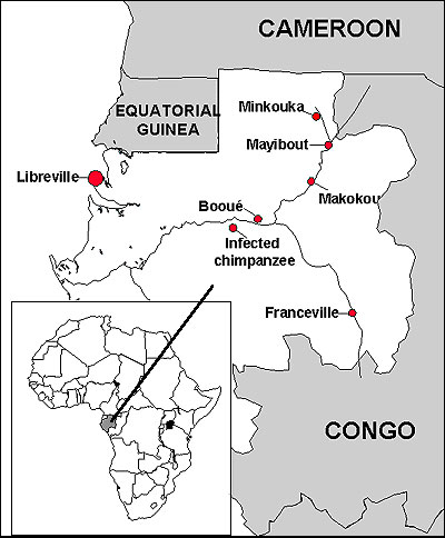 Geographic distribution of the three Ebola virus hemorrhagic fever epidemics and site of the infected chimpanzee in Gabon.