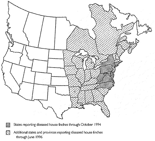 Case distribution of house finches with conjunctivitis, October 1994-June 1996.